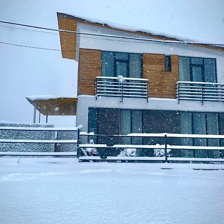 Cottage Marta Sadgeri Borjomi Exterior foto